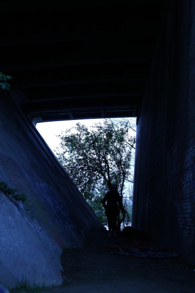 Photographie provisoire pour la composition de cette exposition — David-Albert Brunel