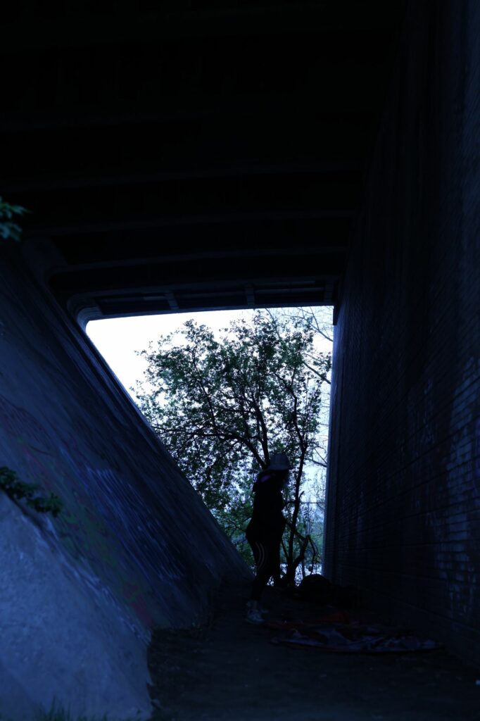 Photographie provisoire pour la composition de cette exposition — David-Albert Brunel