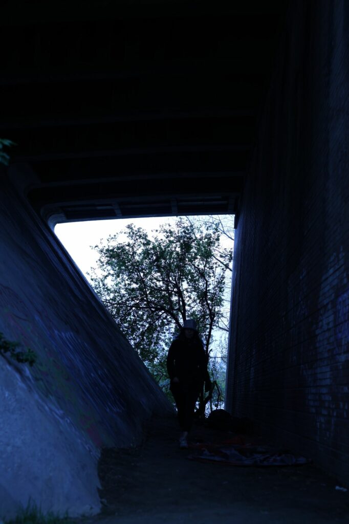 Photographie provisoire pour la composition de cette exposition — David-Albert Brunel