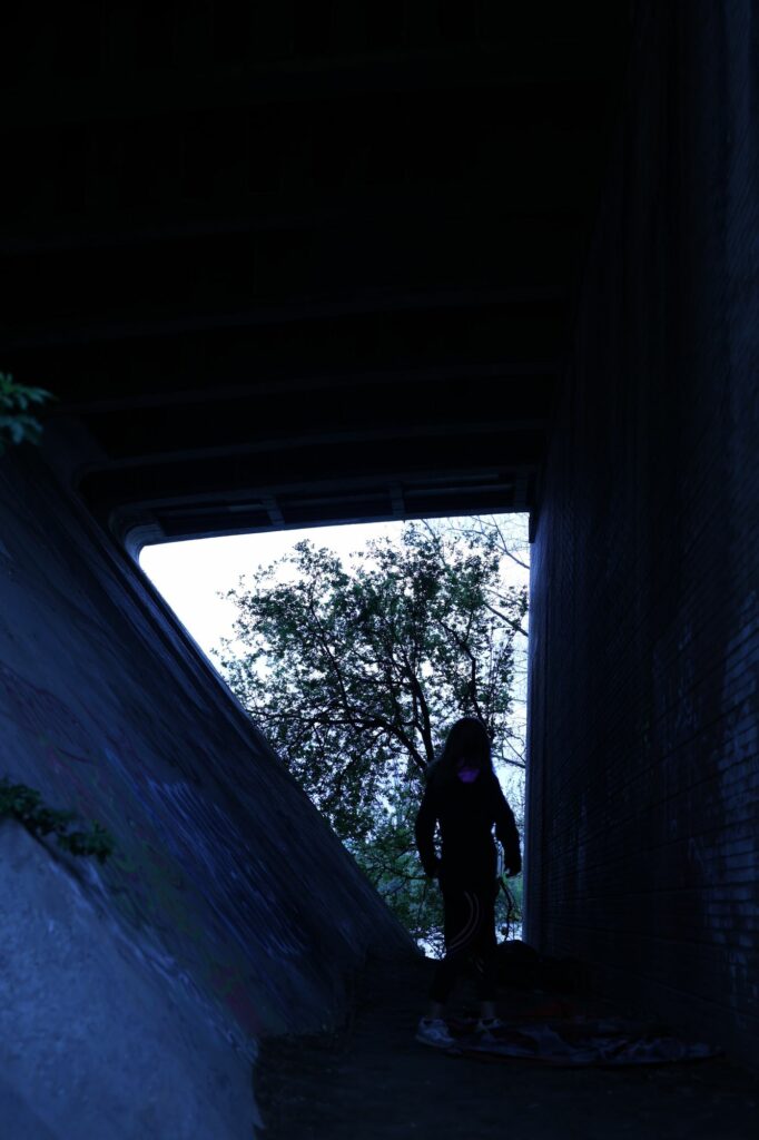 Photographie provisoire pour la composition de cette exposition — David-Albert Brunel